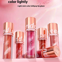 Matte Lip Gloss White And Plain Matte