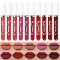 10 PCs Matte Long Lasting Waterproof Lip Gloss
