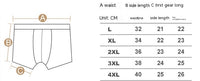 Ice Silk Antibacterial Underwear Men's Summer Thin
