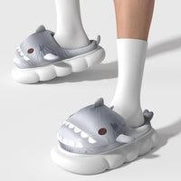 Shark Indoor And Outdoor Non-slip Thick Bottom Cotton Slippers For Women