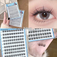 Natural Glue-free False Eyelashes With Clear Roots