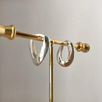 Geometric Mobius Iris Tectorum Earrings