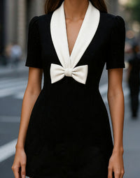 Elegant French-style Womens Dress