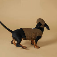 Pet Spring And Summer Sports Style Outdoor Work Clothes Vest Stain-resistant Thin Clothes