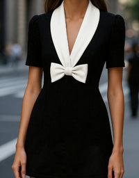 Elegant French-style Womens Dress