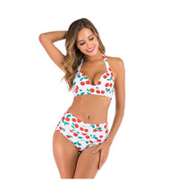 Sexy Printed High-waisted Two-piece Swimsuit