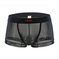 Men's Transparent Mesh Fashion Breathable Underwear