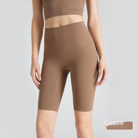 Nylon High Waist Lift Shorts Tight Sports