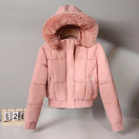 Short Cotton-padded Parka In Hong Kong And Korean Styles For Winter