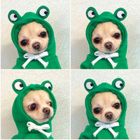 Puppy Dog Teddy Cat Plus Fleece Hooded Sweater Pet Supplies White Carrot