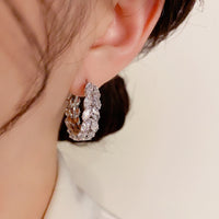 Temperament Niche Design Light Luxury Atmospheric Earrings
