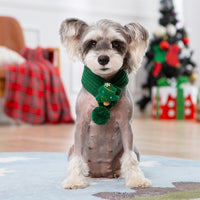 Personalized Pet Knitted Christmas Sweater