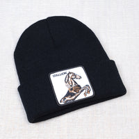 Casual Women's Embroidered Knitted Hat Pullover Hat