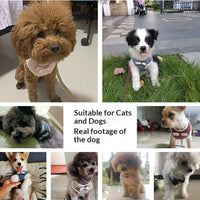 Vest-style Leash For Walking Cats And Dogs