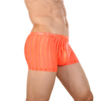 Striped Transparent Boxers Breathable Mesh
