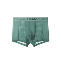 Summer Men's Ice Silk Mesh Antibacterial Breathable Underwear
