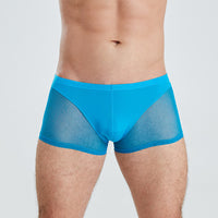 Thin Men's Mesh Translucent High Elastic Low Waist Panties