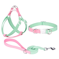 Polyester Ribbon Dog Collar Pet Hand Holding Rope