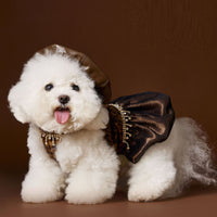 Dog Clothes Autumn Leopard Print Dress