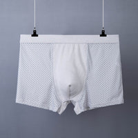 Men's Boxer Plus Size Ice Silk See Through Breathable Mesh Thin Boxer Shorts