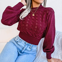 Women Street Style Solid Color Hollow Stripe Lantern Sleeve Cropped Sweater