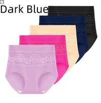 Women's Plus Size High Waist Briefs