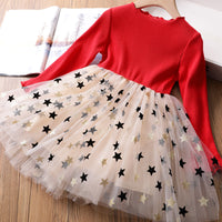 Girls Fashion Lace Embroidered Mesh Dress