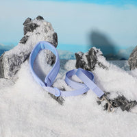 Hand Holding Rope Explosion-proof Chest Back Suit Widened Pet Collar Mini Schoolbag Dog Stool Bag