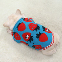 Canine Sweater Strawberry Cartoon Short Fat Dog