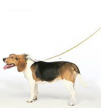 Pet Cat And Dog Burst Traction Rope Webbing