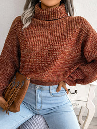 Women Mixed Color Lantern Sleeve Turtleneck Knit Sweater