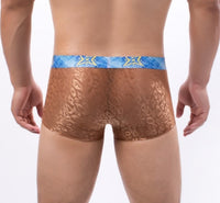 Trendy Men's Lace Transparent Boxer Briefs Comfortable Breathable Quick-drying Men's Boxers