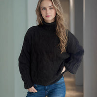Turtleneck Solid Color Commute Loose Pullover