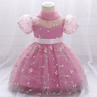 Children's Dress Princess Dress Embroidered Mesh Puffy One Year Old Celebration