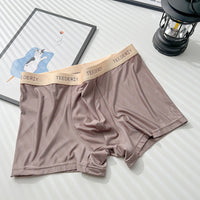 Ice Silk Men's Cotton Crotch Boxer Briefs Boys Teenagers Traceless Plus Size