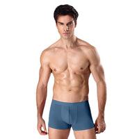 Men's Underwear Summer Thin Section Modal Breathable Young And Middle-aged