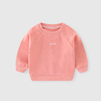 Western Style Long-sleeved Pure Cotton Round Neck T-shirt Top