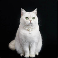 Cat Pet Jewelry Water Drop Pendant Rabbit Necklace