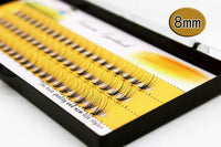 Planting Eyelashes In A Single Cluster Of 10 Natural Mink Hairs