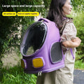Outdoor Portable Cat School Bag Large Capacity Backpack