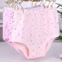 Women's Plus Size Loose Briefs