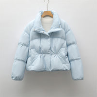 New Small Stand-collar Solid Color Simple Down Jacket For Women