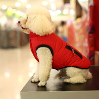 Warm Cotton Vest Teddy VIP Thickening Clothes