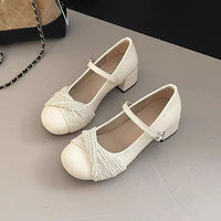 Women's Woven Mary Jane Shoes, 2026 New Gentle Style, French Buckle Strap, Block Heel Pumps, Fairy Elegant High Heels
