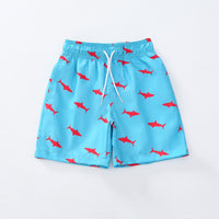 Boy Loose Lace-up Adjustable Sports Shorts