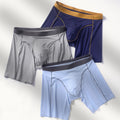 Men's Ice Silk Lengthened Sports Wear-resistant Pants Antibacterial Seamless Underwear