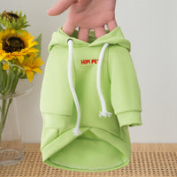 Cat Poodle Small Puppies Puppy Dog Clothes