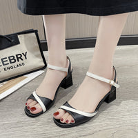 Summer Chunky Heel Ankle-strap Buckle Sandals