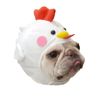 Pet Styling Video Creative Pet Supplies Cute Dog Hat