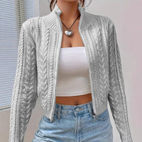 Short Retro Hemp Pattern Double-headed Zipper And Lapel Sweater Coat